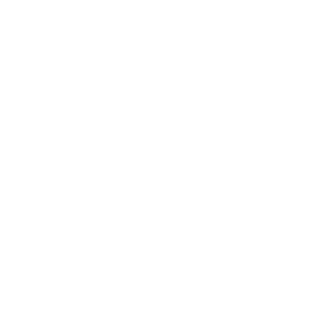 witshop